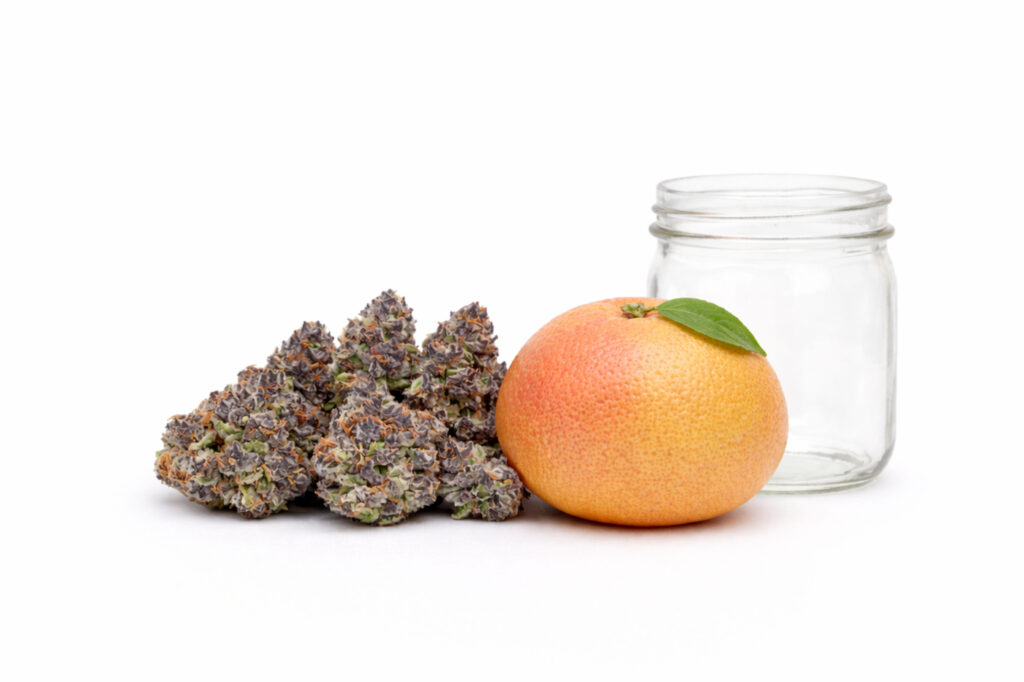 A pile of cannabis buds beside a pink grapefruit and an empty mason jar on a white background.
