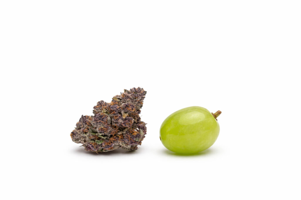 One cannabis bud beside a green grape on a white background for size comparison.