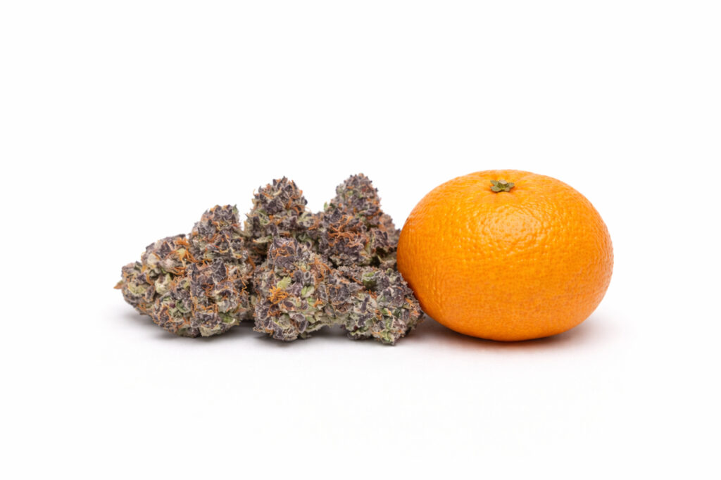 A pile of cannabis buds beside a large orange on a white background for size comparison.