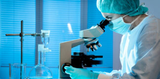 CBD and CBG Show Promise against Fatty Liver Disease in New Study Laboratory researcher examining samples during cannabinoid study on fatty liver disease