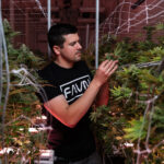 Faven Lighting Names Jonathon Karall Research and Development Director Jonathon Karall, PhD