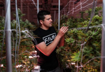 Faven Lighting Names Jonathon Karall Research and Development Director Jonathon Karall, PhD
