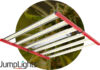 JumpLights Launches LED Fixtures for Multi-Tier and Vegetative Cultivation JumpLights Vert-900 LED light fixture for pro cannabis cultivators