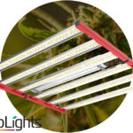 JumpLights Launches LED Fixtures for Multi-Tier and Vegetative Cultivation JumpLights Vert-900 LED light fixture for pro cannabis cultivators