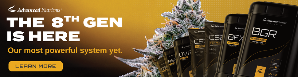elf bar vape uk Premier Cannabis Brand, CAMP, Partners with The Real McCoy for a Special
