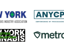 NY Cannabis Industry Unites to Celebrate Market Integrity NY Cannabis Industry Unites for Market Integrity