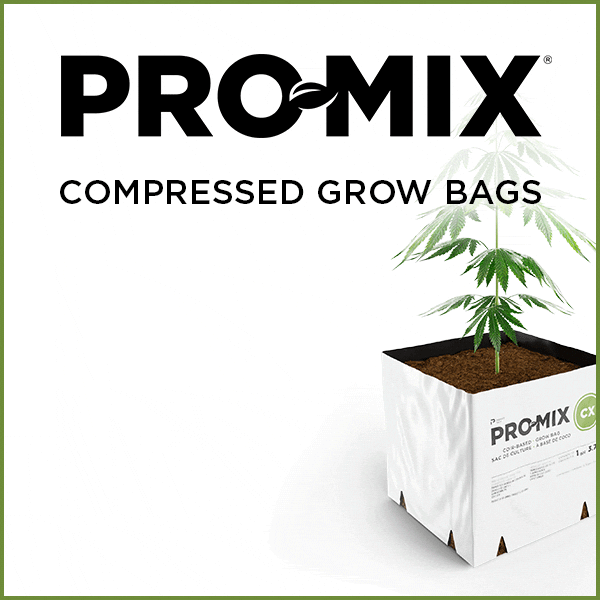 Digital advertisement for PremierTech Promix product