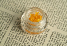 New Data Report Spotlights ‘Knowledge Gap’ Holding Back Cannabis Concentrates cannabis concentrate in a jar sitting on newsprint
