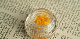 New Data Report Spotlights ‘Knowledge Gap’ Holding Back Cannabis Concentrates cannabis concentrate in a jar sitting on newsprint