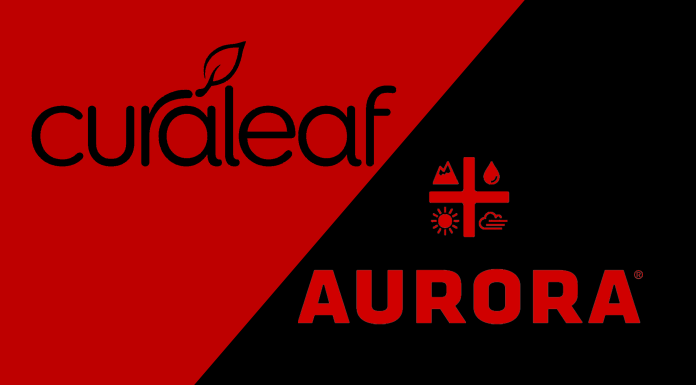 When the Aggressor Becomes the Target Curaleaf-aurora-takeover 2