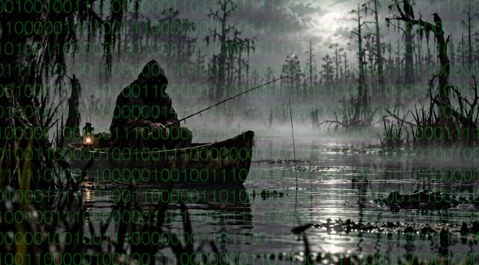 Image of dark swamp indicating phishing scam